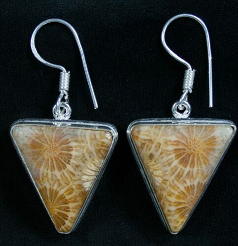 Beautiful Fossil Coral Sunburst Earrings #8258